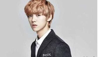 鹿晗网红爆料事件视频,揭秘娱乐圈背后真相